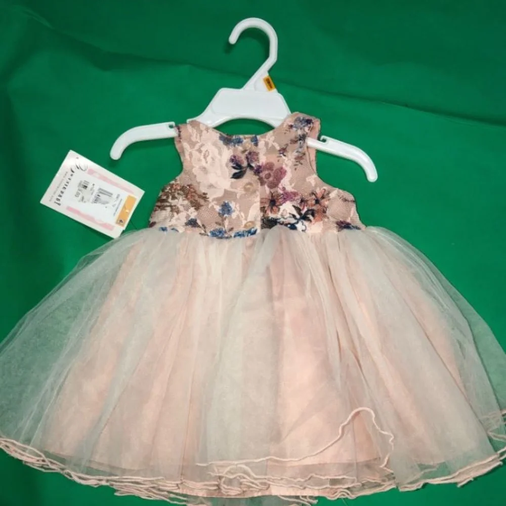 **CLOSE OUT** Bonnie Baby Girl Rose Ballerina Dress 12M--2EG
